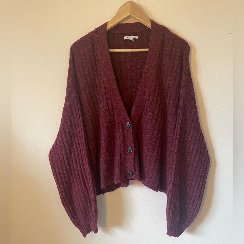 American Eagle Cardigan